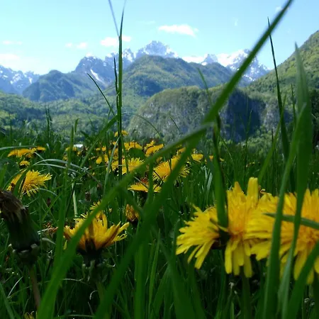 Triglav Dovje