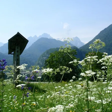 Apartman Triglav