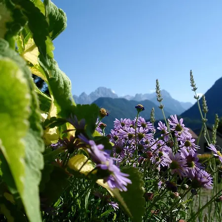 Apartmán Triglav Dovje